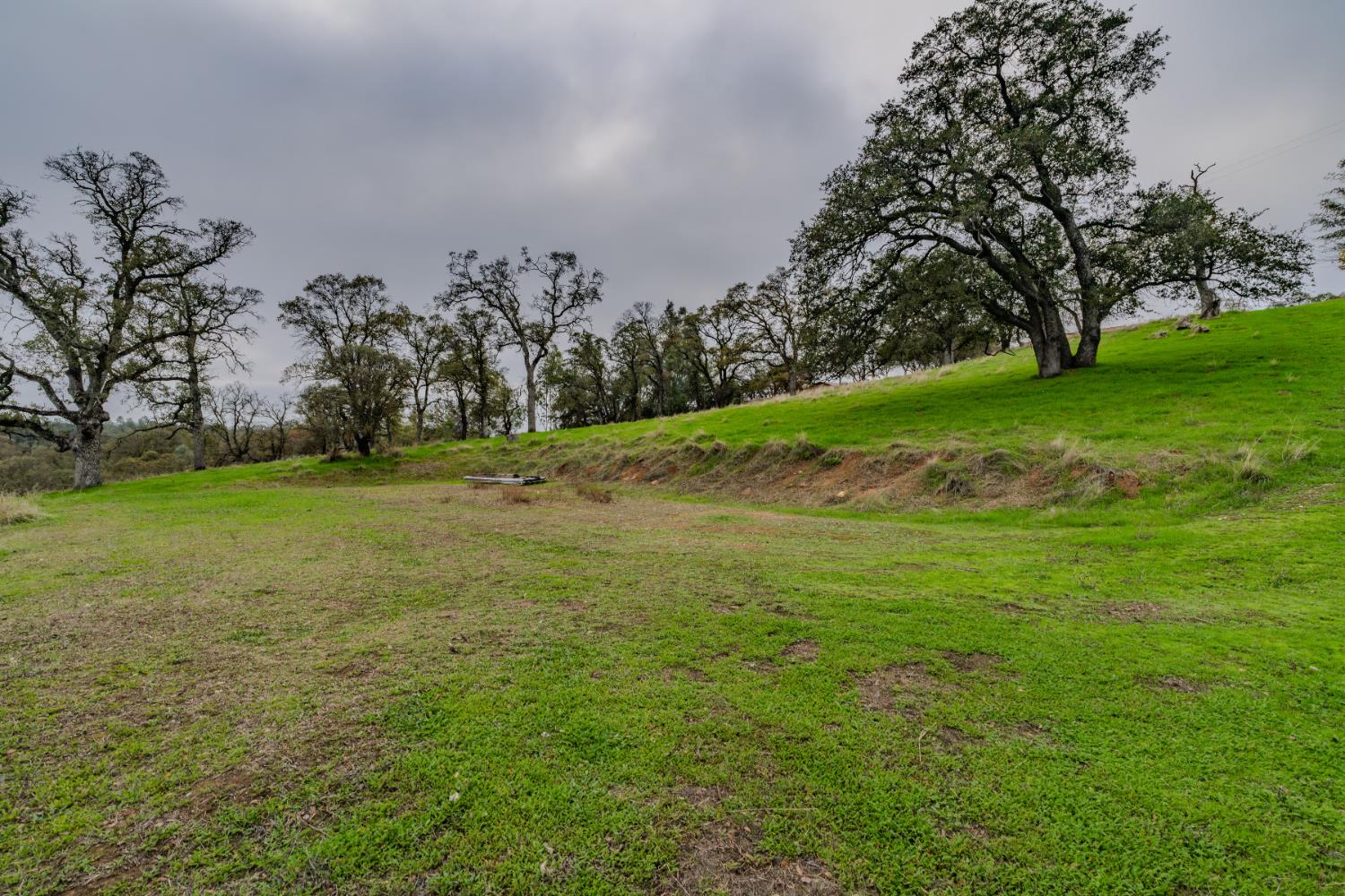 8719 Sparrowk Road Valley Springs, CA 95252 - Photo 11 of 29 a view of a field with trees