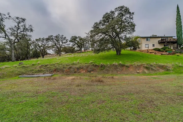 a view of a yard with palm trees