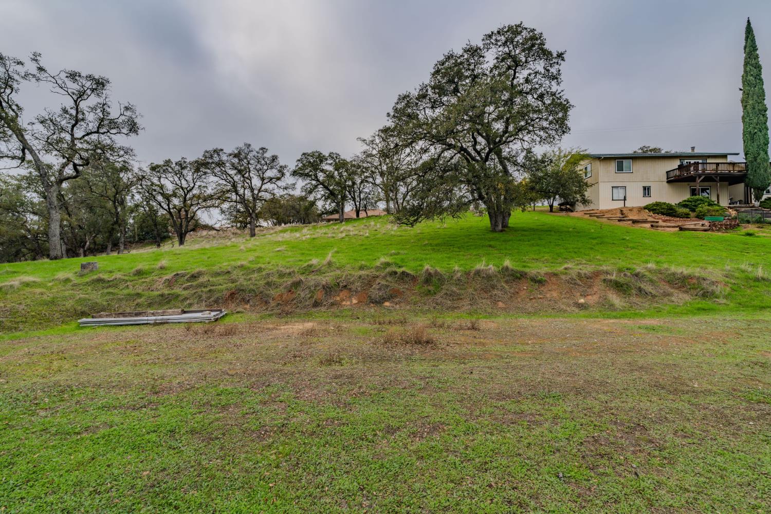 8719 Sparrowk Road Valley Springs, CA 95252 - Photo 12 of 29 a view of a yard with palm trees