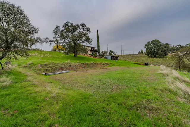 a view of a garden with large trees