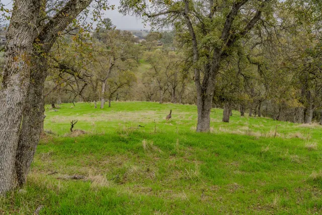 a view of outdoor space with trees all around