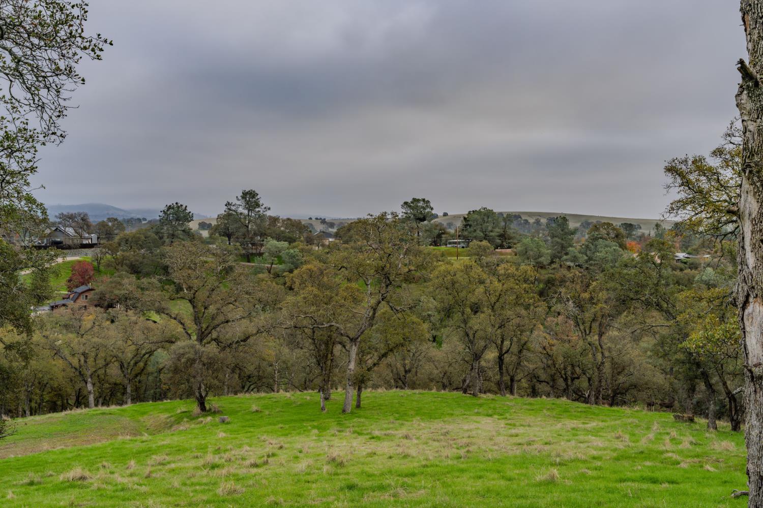 8719 Sparrowk Road Valley Springs, CA 95252 - Photo 6 of 29 a view of yard with green space