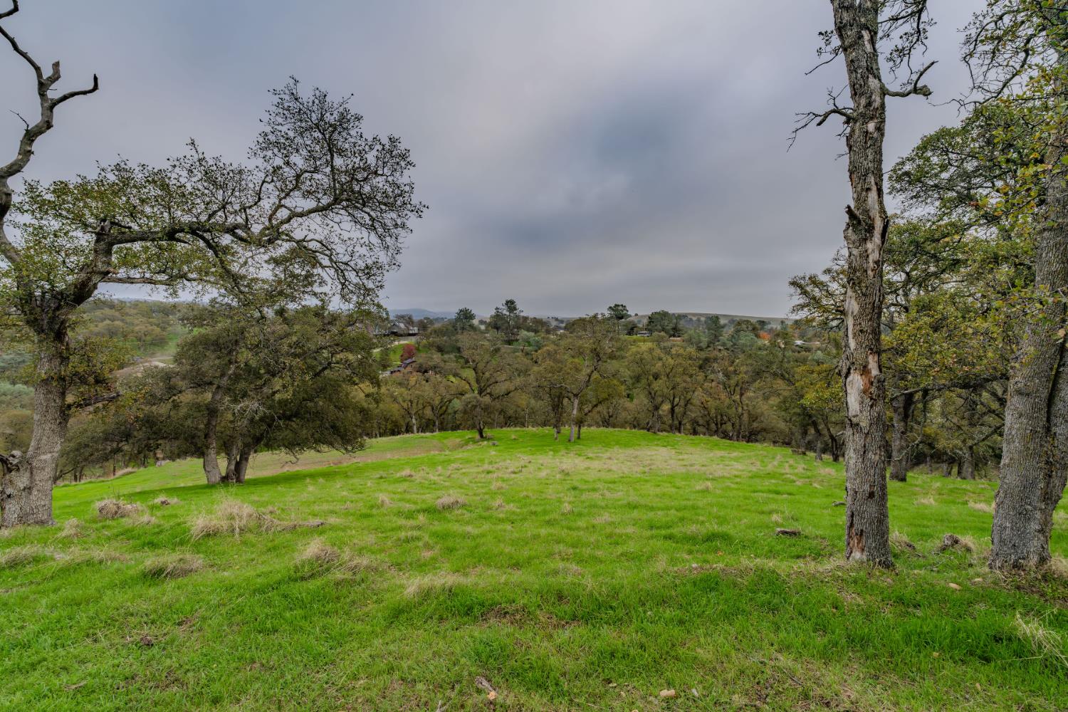 8719 Sparrowk Road Valley Springs, CA 95252 - Photo 7 of 29 a view of outdoor space with green field and trees