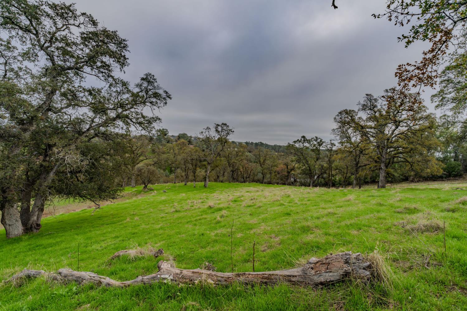 8719 Sparrowk Road Valley Springs, CA 95252 - Photo 8 of 29 a view of an outdoor space and a yard
