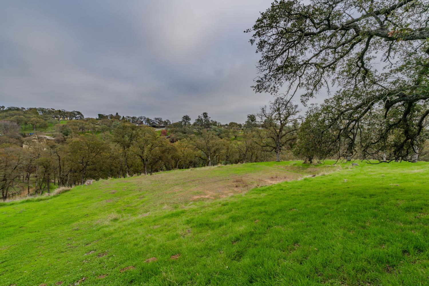 8719 Sparrowk Road Valley Springs, CA 95252 - Photo 9 of 29 a view of an outdoor space and yard