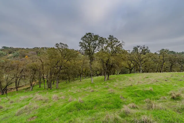 a view of grassy field with trees