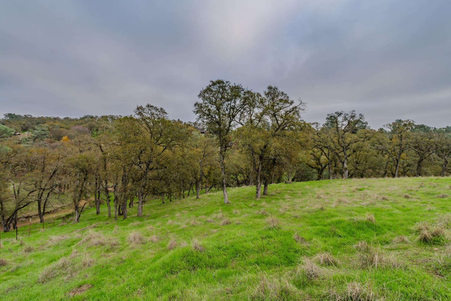 8719 Sparrowk Road Valley Springs, CA 95252 - Photo 10 of 29 a view of grassy field with trees