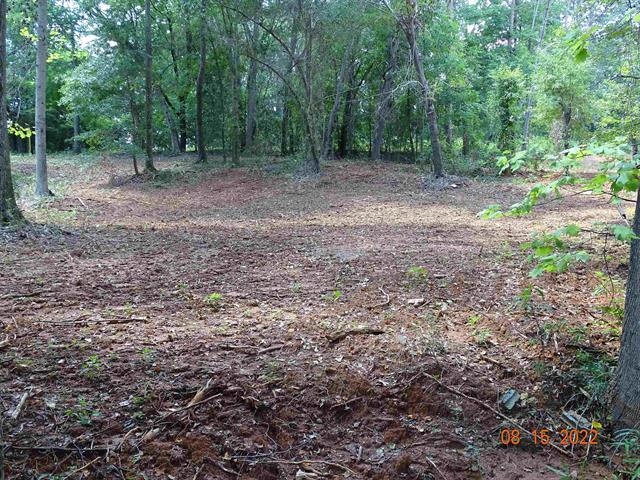 150 Blue Spring Circle Wellford, SC 29385 - Photo 2 of 11 Gallery Image 2