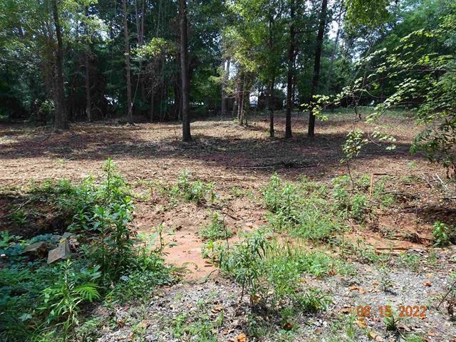 150 Blue Spring Circle Wellford, SC 29385 - Photo 5 of 11 Gallery Image 5