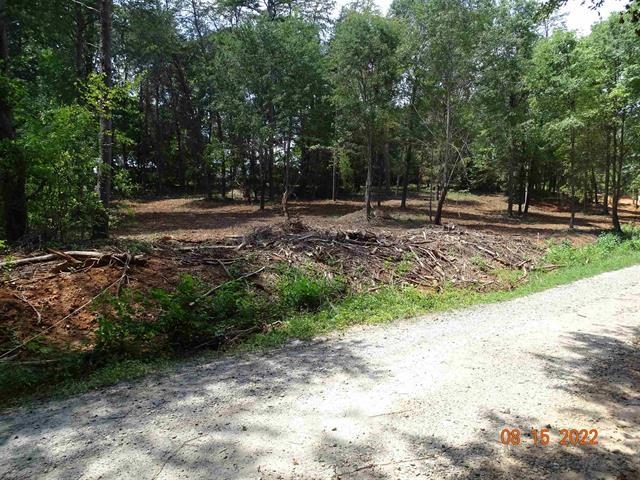 150 Blue Spring Circle Wellford, SC 29385 - Photo 8 of 11 Gallery Image 8