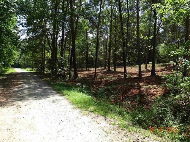 150 Blue Spring Circle Wellford, SC 29385 - Photo 10 of 11 Gallery Image 10