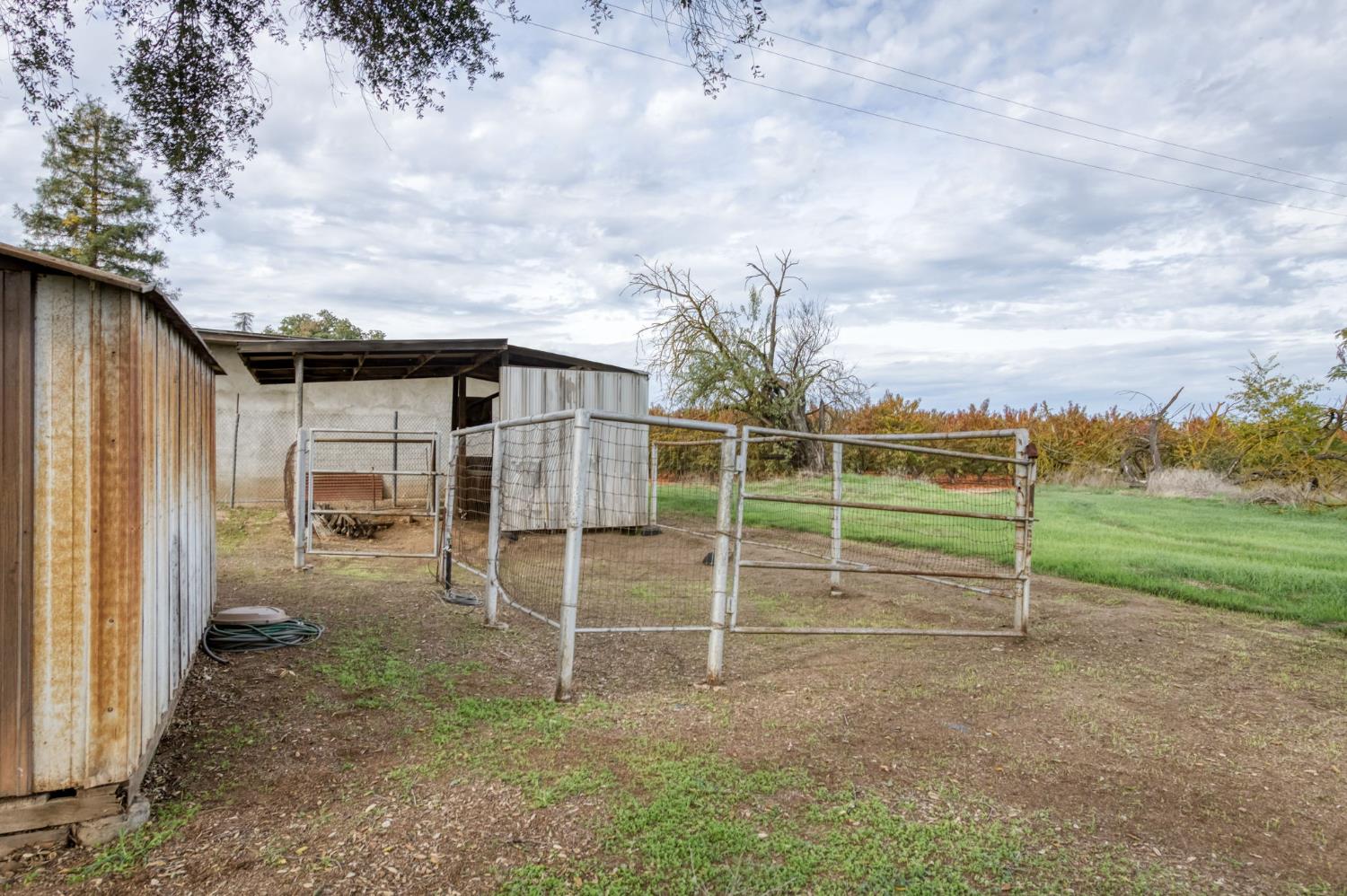 19616 East Parlier Avenue Reedley, CA 93654 - Photo 28 of 39