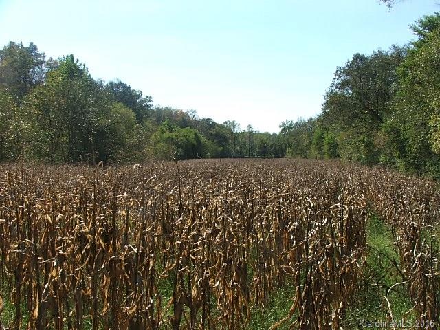 41-acres Chestnut Grove Road Pinnacle, NC 27043 - Photo 4 of 7 a view of a field with trees in background