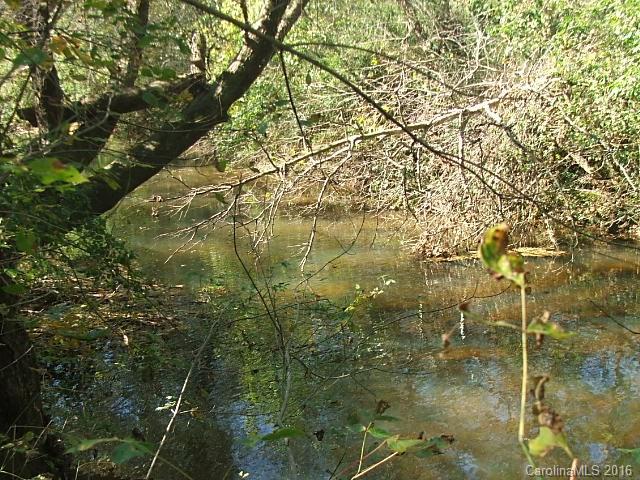 41-acres Chestnut Grove Road Pinnacle, NC 27043 - Photo 5 of 7