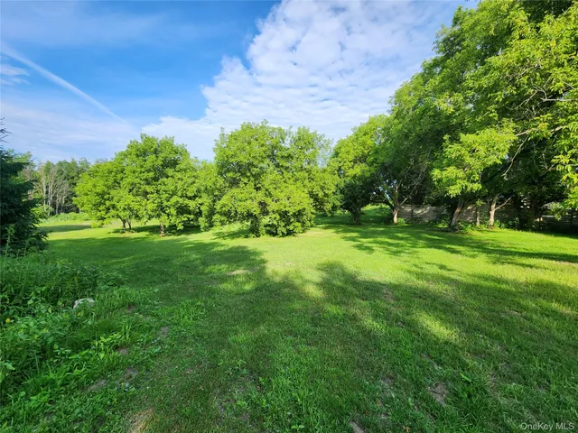 a view of a field with an ocean
