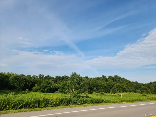 a view of a big yard with a house in the background