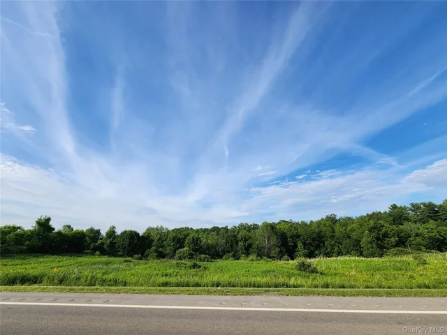 a big yard with lots of green space and fog