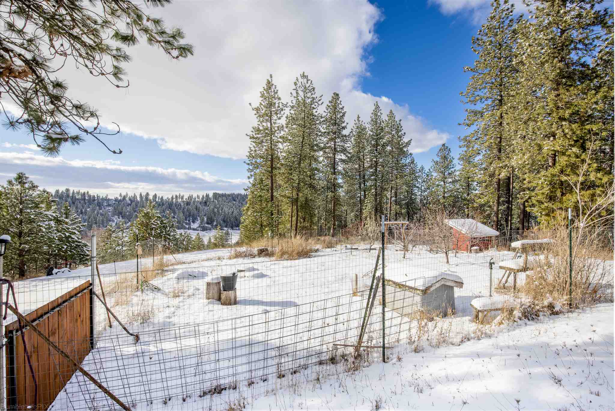 15807 Foothills Road Spokane, WA 99217 - Photo 43 of 50