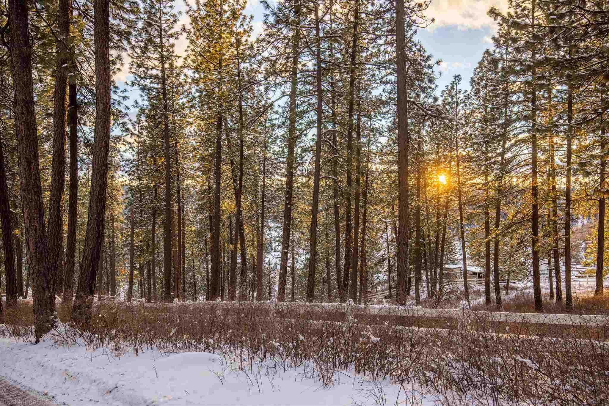 15807 Foothills Road Spokane, WA 99217 - Photo 46 of 50