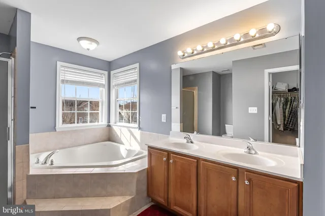 a bathroom with a tub a double vanity sink and a large mirror