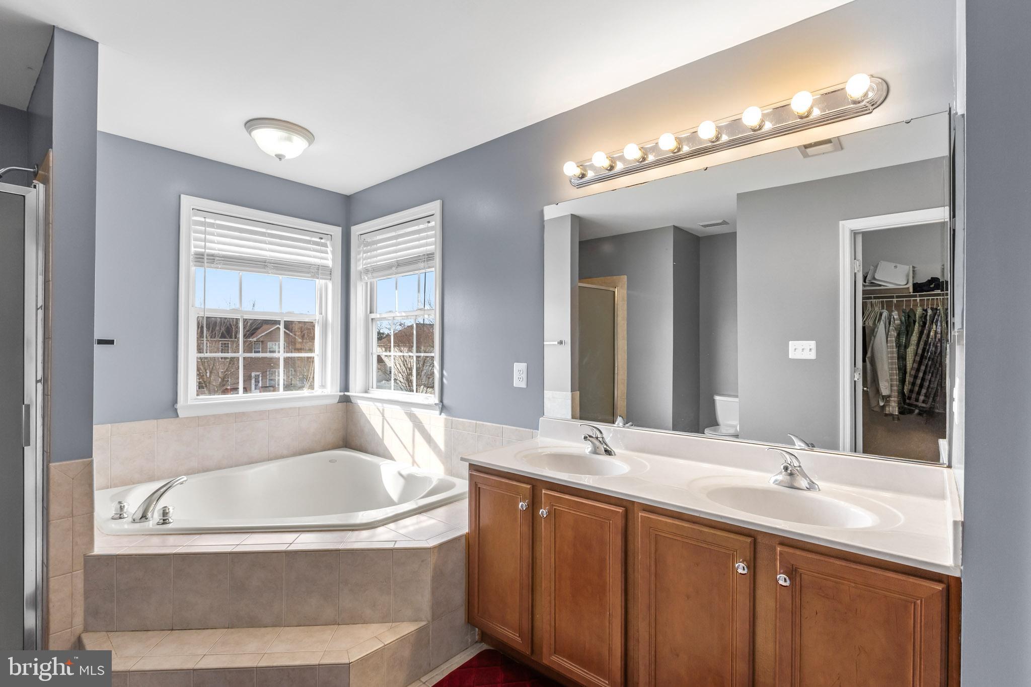 41635 Ferber Court Leonardtown, MD 20650 - Photo 17 of 30 primary bath view2