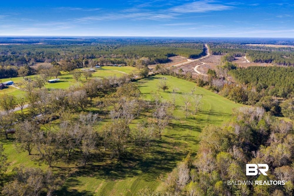 5469 County Road 55 Florala, AL 36442 - Photo 43 of 49