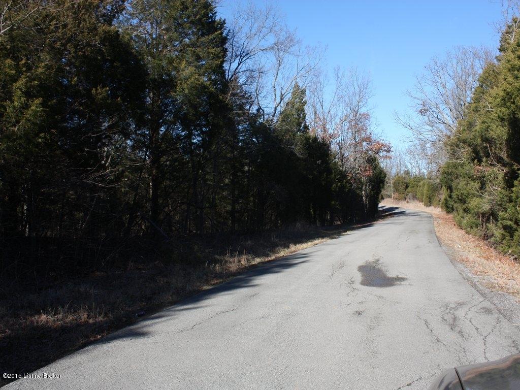 3106 Yeaman Olaton Road Olaton, KY 42361 - Photo 9 of 20 30Floyd Auction