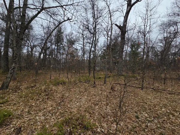 $9,900 | V/l South Harvard Avenue, Baldwin, MI 49304