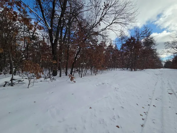 $10,500 | V/l South Harvard Avenue, Baldwin, MI 49304