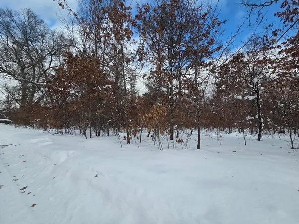 $10,500 | V/l South Harvard Avenue, Baldwin, MI 49304