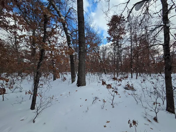 $10,500 | V/l South Harvard Avenue, Baldwin, MI 49304