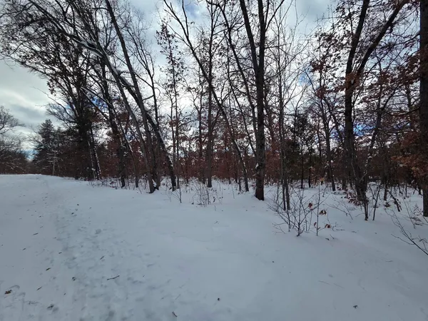 $10,500 | V/l South Harvard Avenue, Baldwin, MI 49304