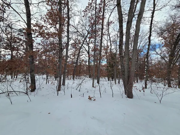 $10,500 | V/l South Harvard Avenue, Baldwin, MI 49304