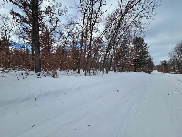 $10,500 | V/l South Harvard Avenue, Baldwin, MI 49304