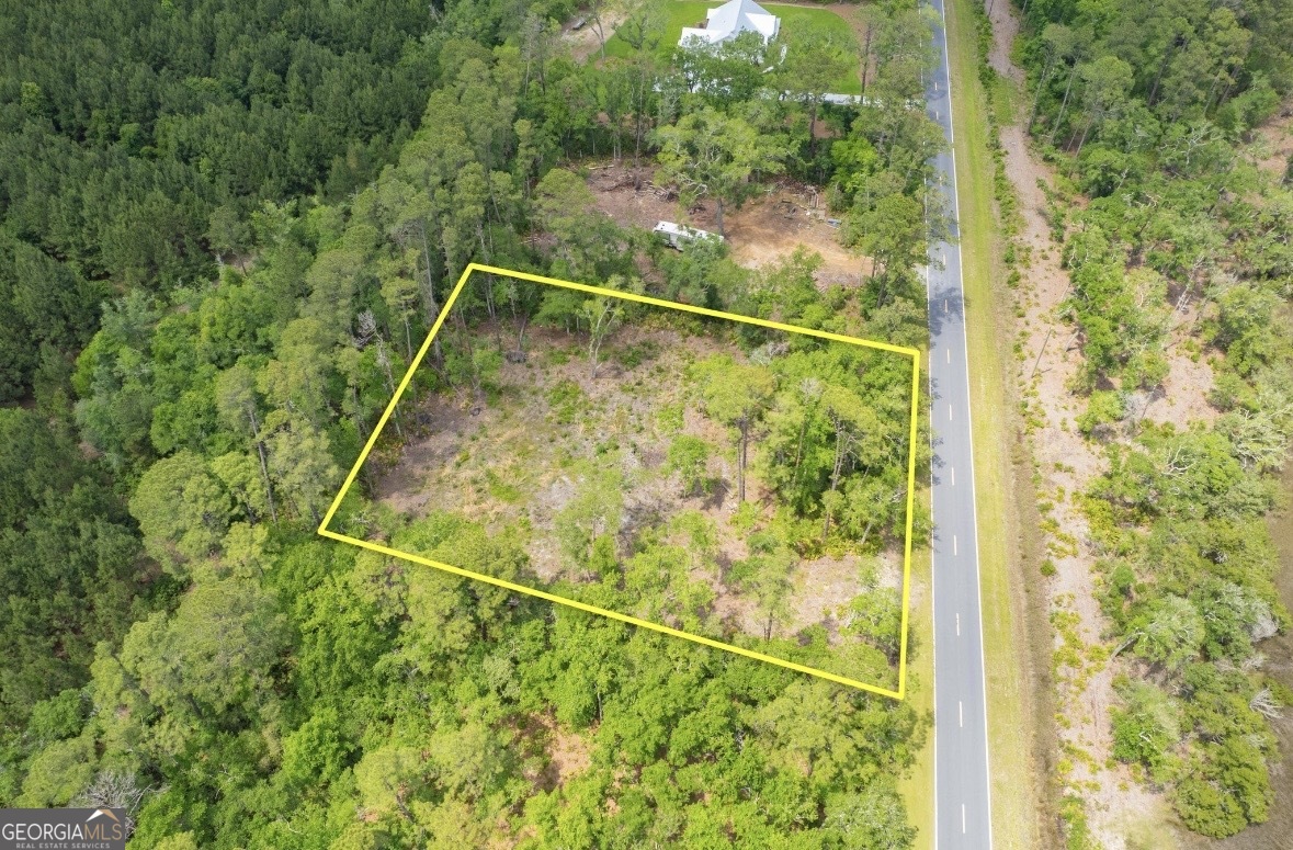 0 Piney Bluff Road Waverly, GA 31565 - Photo 12 of 26