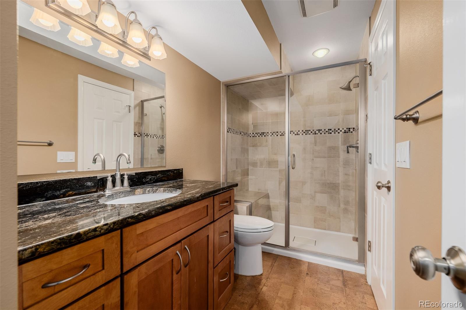 8827 South Cactus Flower Way Highlands Ranch, CO 80126 - Photo 39 of 49 a bathroom with a granite countertop sink a toilet and shower