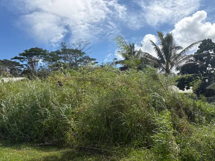 $25,000 | 335 Honu Street, Pahoa, HI 96778