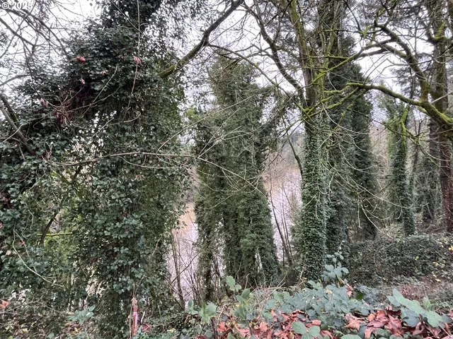 $119,500 | 173 Jefferson Street, Lafayette, OR 97127