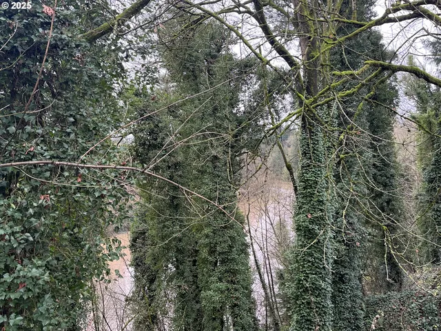 $119,500 | 173 Jefferson Street, Lafayette, OR 97127