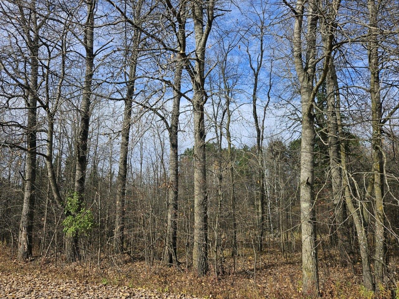 On Morner Road Prentice, WI 54556 - Photo 13 of 16 Gallery Image 13