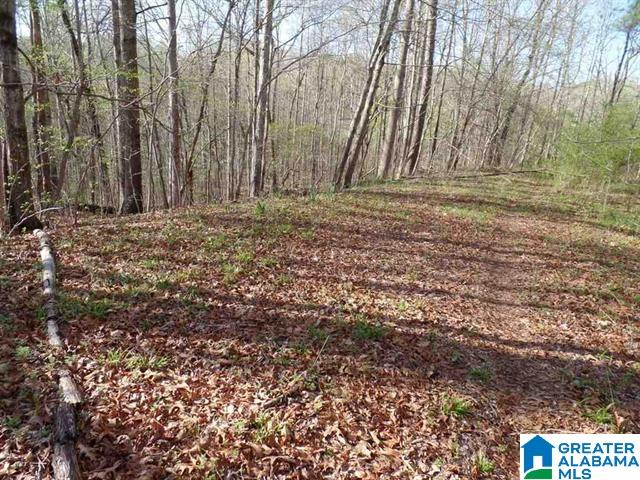 Azalea Street, Unit 2 51 Heflin, AL 36264 - Photo 10 of 14