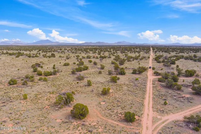 a view of a yard next to a building