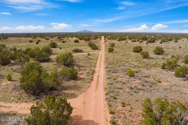 a view of a pathway of a yard