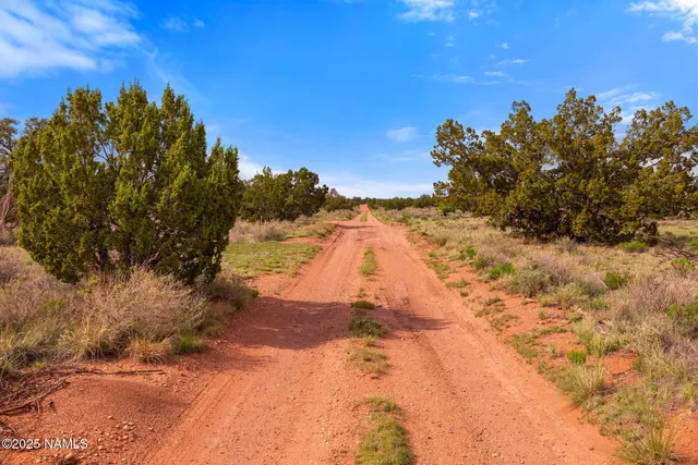 a view of an ocean beach and mountain