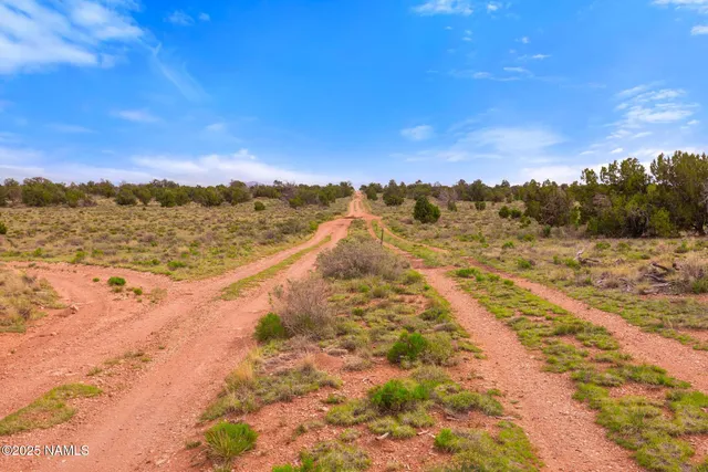 a view of a beach with a mountain in the background