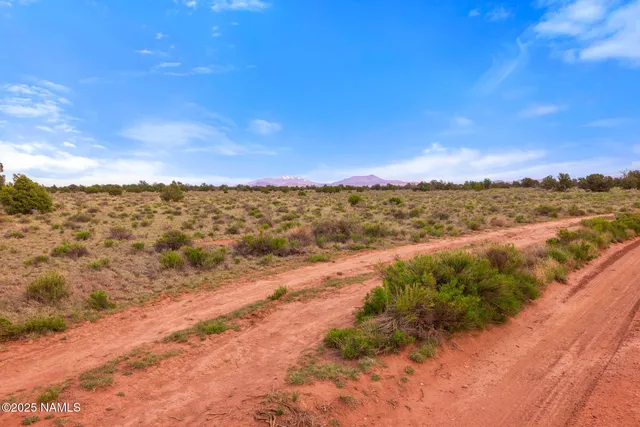 a view of city and mountain