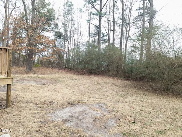 a view of a yard with trees