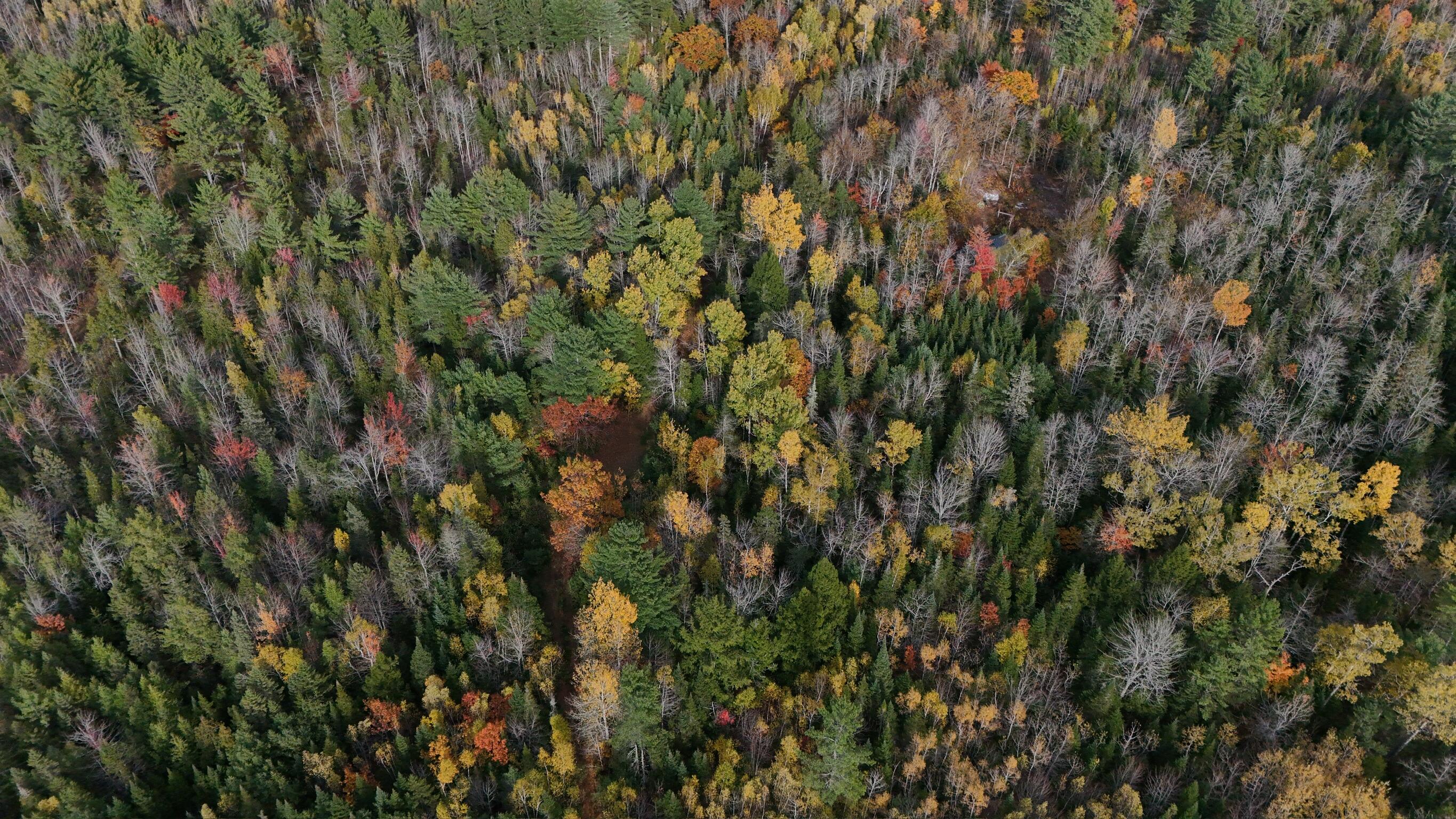 0 Babcock Road Newburgh, ME 04444 - Photo 25 of 52