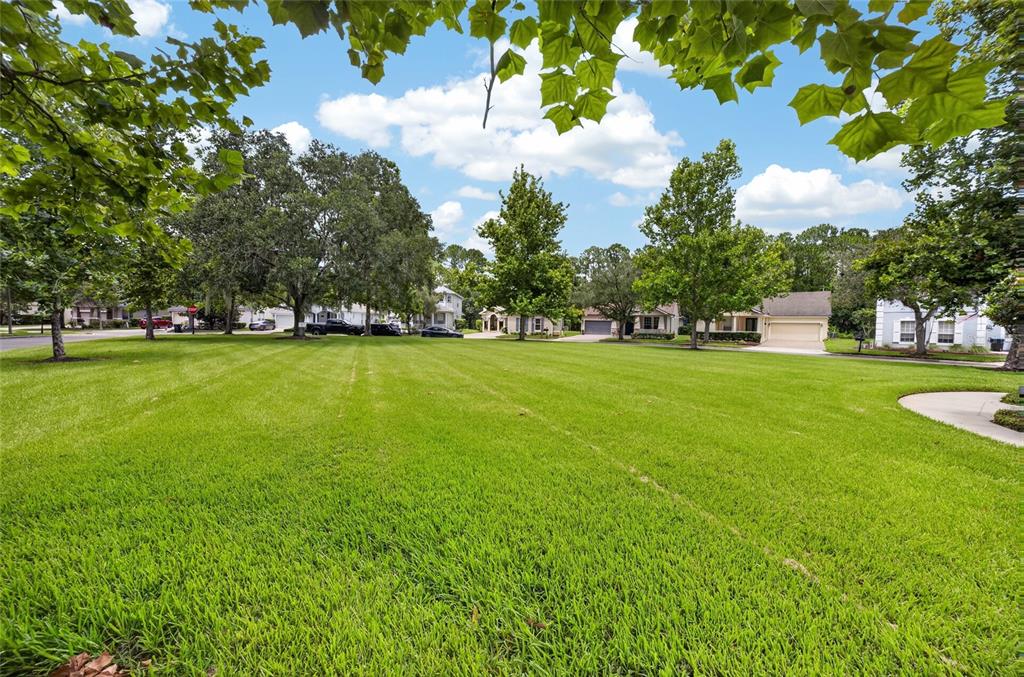 6587 Old Carriage Road Winter Garden, FL 34787 - Photo 3 of 85