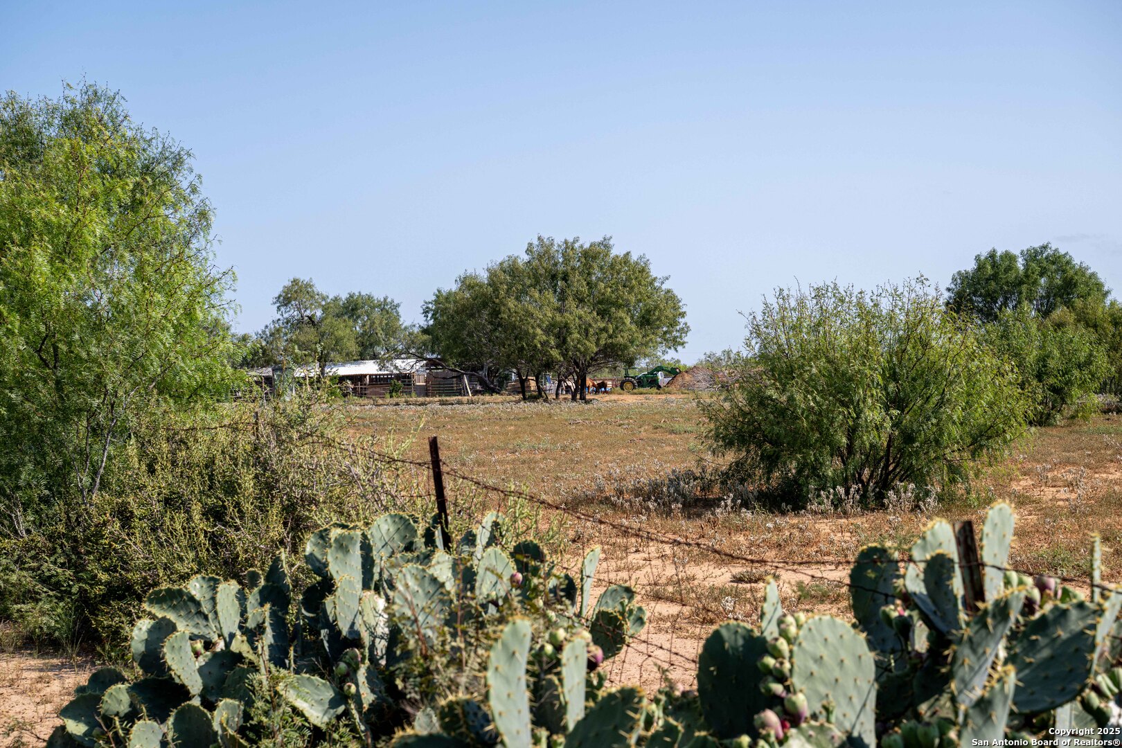 3285 Pittman Road St. Hedwig, TX 78152 - Photo 11 of 15 a view of a yard with a tree